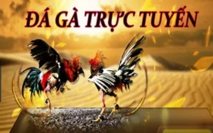 Hướng Dẫn Chơi Đá Gà WS168 Tại Gem88 Chi Tiết Cho Người Mới