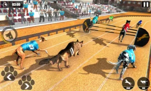 Hướng Dẫn Chơi Game Đua Chó Nhanh Tại Gem88 Hiệu Quả Nhất